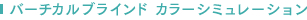 �o�[�`�J���u���C���h�@�J���[�V�~�����[�V����