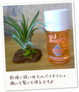 Kumi's happy relax