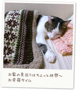 Kumi's happy relax