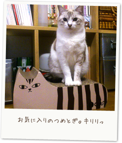 Kumi's happy relax