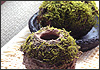 La Finestra vol.07 2006/5