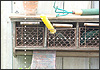 La Finestra vol.09 2006/09