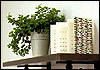 La Finestra vol.29 2010/05