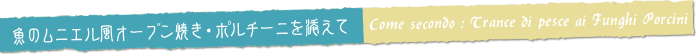 ̃jGI[uĂE|`[jY