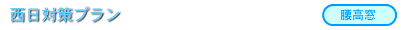 v1